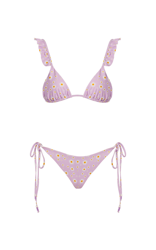Daisy Purple