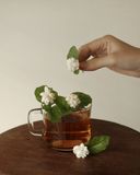 Jasmine Garden Candle 