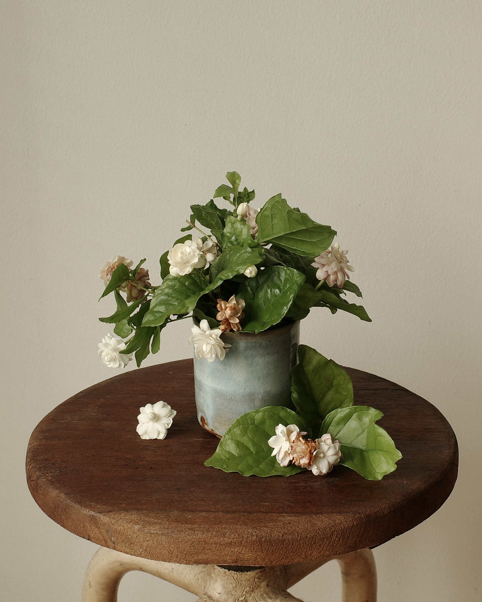 Jasmine Garden Candle main image 1