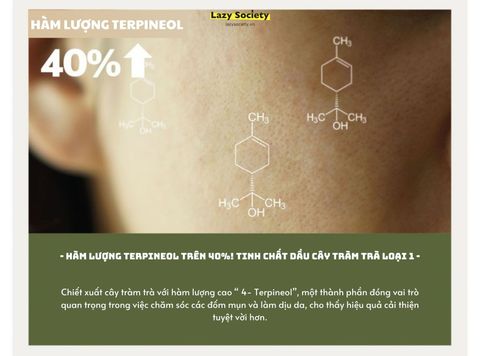 Thanh lăn giảm mụn 100% chiết xuất Tràm Trà Lazy Society Spotcare Tea-tree 100% Roll-on