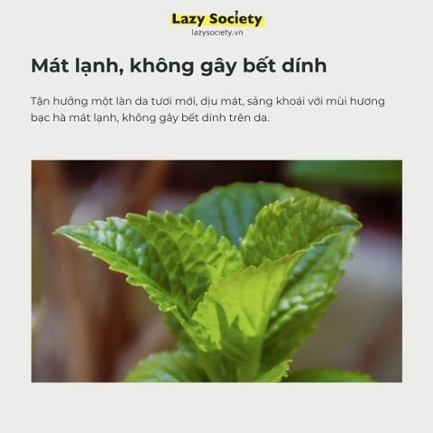 Toner dạng xịt giảm kích ứng da Lazy Society Cica After - Shave Toner Spray 120ml
