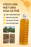 Mật Ong Hoa Cà Phê Arabica Cầu Đất | 500ml-1 lít | Đặc sản Đà Lạt