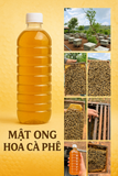 Mật Ong Hoa Cà Phê Arabica Cầu Đất | 500ml-1 lít | Đặc sản Đà Lạt