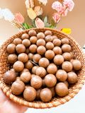 Hạt Macca Lâm Đồng | 300-500 | Đặc Sản Đà Lạt