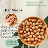 Hạt Macca Lâm Đồng | 300-500 | Đặc Sản Đà Lạt