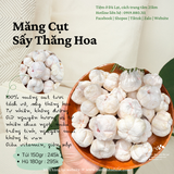 Măng Cụt Sấy Thăng Hoa | 150-180 | Đặc sản Đà Lạt