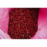 Cà Phê Phin Nguyên Chất 8Ro 2A I Đặc sản Đà Lạt