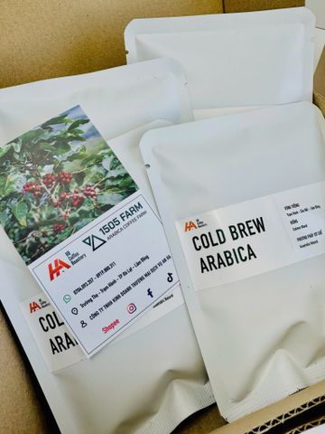 Cà Phê Cold Brew Arabica Túi Lọc [ Hộp 8 túi - 20Gr/Túi ]