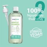  Dầu gội cho da đầu nhạy cảm không xà phòng, không sulfate, không silicone 5