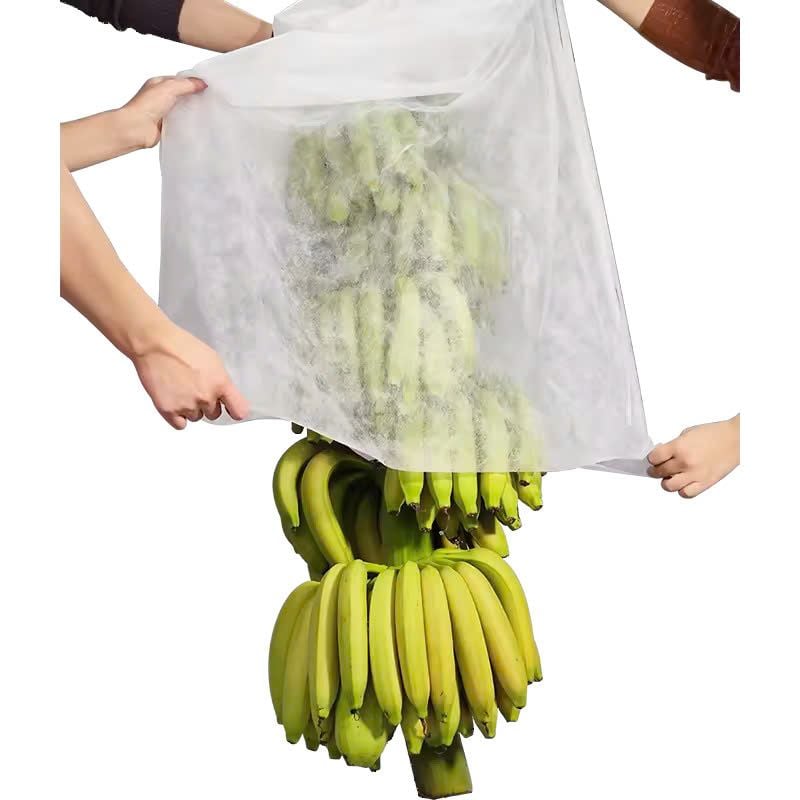 Túi bọc buồng chuối bằng vải không dệt 