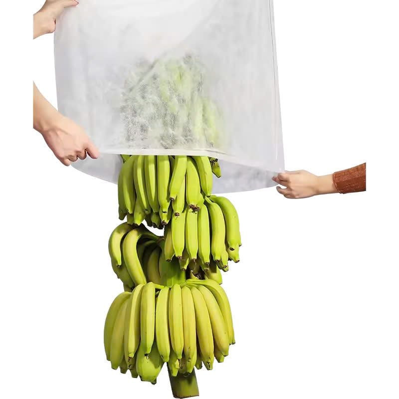  Túi bọc buồng chuối bằng vải không dệt 