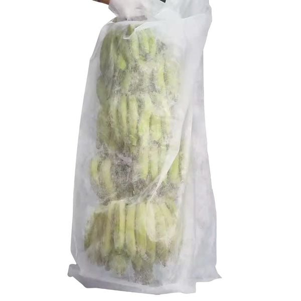  Túi bọc buồng chuối bằng vải không dệt 