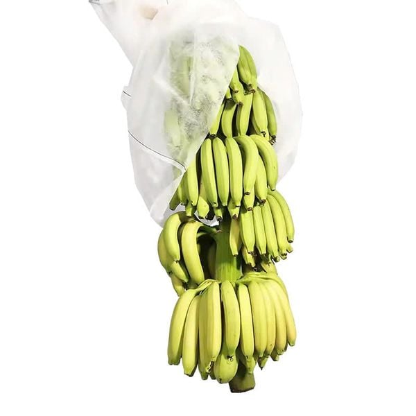  Túi bọc buồng chuối bằng vải không dệt 