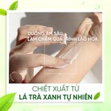 Kem Massage Trà Xanh Mira Green Tea Massage Cream (500g)