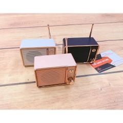 Loa Bluetooth DW01 hình Tivi Retro nhỏ xinh