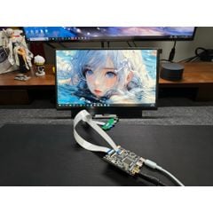 Màn hình di động 11 inch IPS DIY không có vỏ - Màn kèm mạch để tùy ý DIY