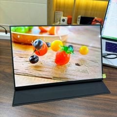 Màn hình di động 14 inch IPS 2.5K TypeC Thunderbolt - Tặng kèm bao da
