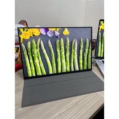 Màn hình di động 15 inch bản 100%sRGB tỉ lệ 16:10 2.5K 144Hz có MiniDP Thunderbolt