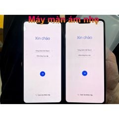 Điện thoại LG V40 ThinQ màn P-OLED 2K - Snap 845 Ram 6G