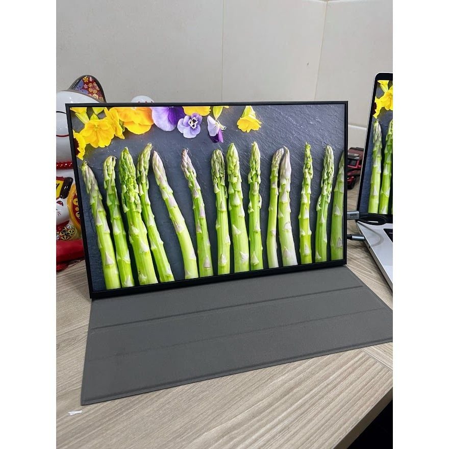 Màn hình di động 14 inch bản 100%sRGB 2K 144Hz Type-C Thunderbolt