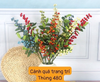  Cành Quả Mọng 480/T 