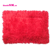  Thảm Kim Tuyến Chữ Nhật 40*60 Bé 1 Màu 200/T 