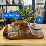  A9 - Mứt Thuỷ Tinh Bộ 5 Nắp Gỗ 20/T 