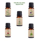  Tinh Dầu Mộc Nhiên - Hương Tràm 10Ml 15/B 