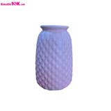  Lọ Hoa Dâu Béo S2 