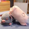  Gấu Bông Heo Lười 40Cm 40/T 