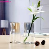  Bình Hoa Thủy Tinh Daisy sz17 (trộn màu) 48/T 