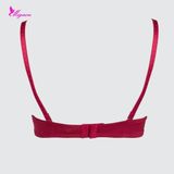  Áo Ngực Không Gọng Mút Mỏng Lưới Nâng Cao Cấp Mignon AN062 