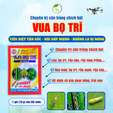  SUMO VUA BỌ TRĨ 