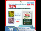 Xử lý lúa cơi SUMO TRUM