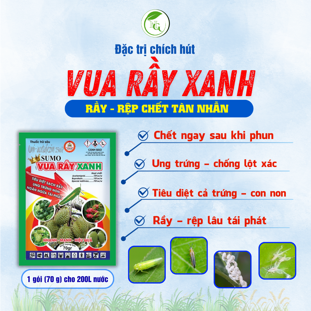  VUA RẦY XANH 