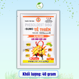 SUMO TỀ THIÊN 