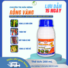 SUMO RỒNG VÀNG