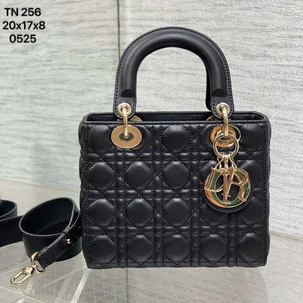 TN256 Túi Đeo Nữ, Túi Sách Hàng Hiệu Cao Cấp Dior