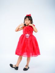 Váy công chúa hoa hồng lệch vai, cho bé từ 7kg tới 45kg