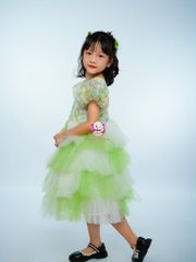 Váy công chúa cẩm tú cầu cho bé từ 7kg tới 45kg