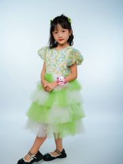 Váy công chúa cẩm tú cầu cho bé từ 7kg tới 45kg