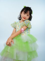 Váy công chúa cẩm tú cầu cho bé từ 7kg tới 45kg