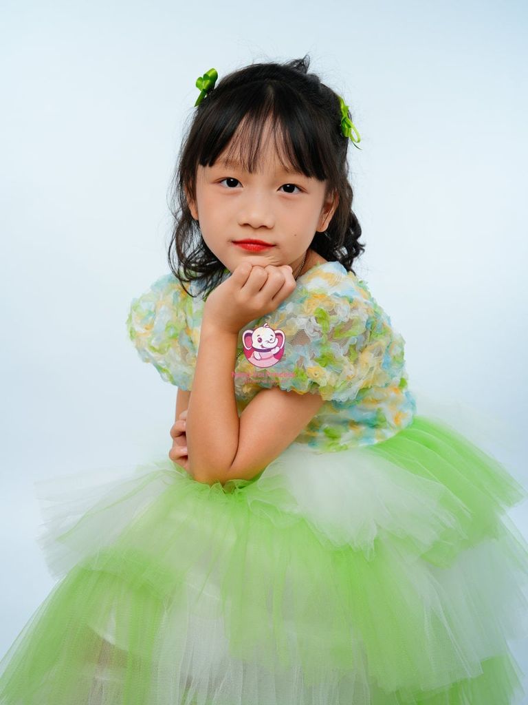 Váy công chúa cẩm tú cầu cho bé từ 7kg tới 45kg