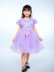 Váy công chúa kim sa tay bồng, cho bé từ 7kg tới 35kg