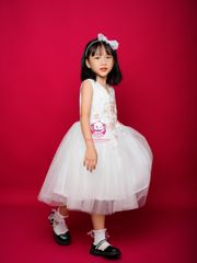 Váy công chúa thiết kế cổ tim, đính hoa, cho bé từ 7kg tới 35kg