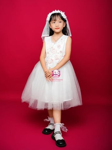 Váy công chúa thiết kế cổ tim, đính hoa, cho bé từ 7kg tới 35kg
