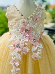 Váy công chúa thiết kế cổ tim, đính hoa, cho bé từ 7kg tới 35kg