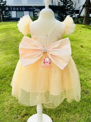 Váy công chúa cổ đính ngọc