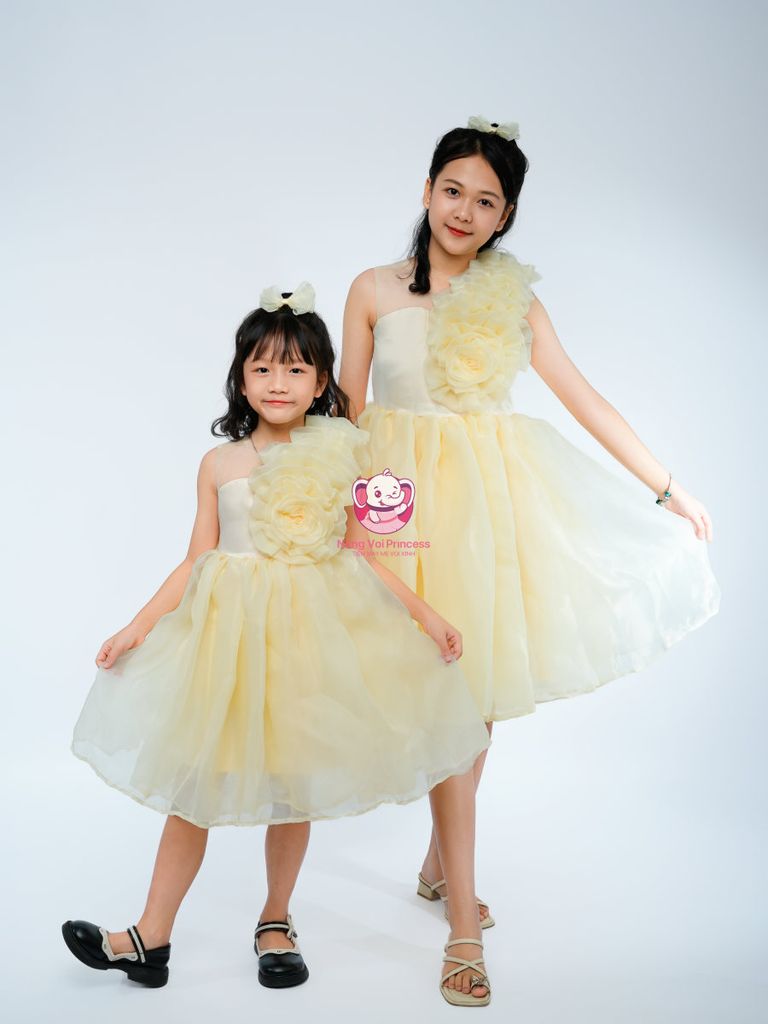 Váy công chúa hoa hồng lệch vai, cho bé từ 7kg tới 45kg