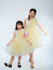 Váy công chúa hoa hồng lệch vai, cho bé từ 7kg tới 45kg
